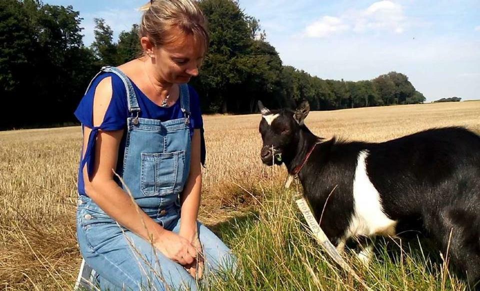 Gite La Bulle Enchantee Bezinghem Eksteriør bilde